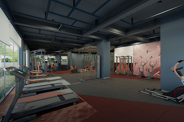 Lionarc Group New Appartments  The Altitude GYM For Fitness